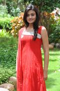 Tollywood Actress Nikitha Narayan Photos Gallery sexy stills