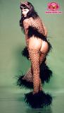 Julie Strain - Fan Club of Erotic Models