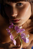 Nata-Orchid-in-the-Night-a32ejw4tq0.jpg