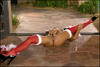 Priya Rai - Santa Wears Stockings -a06kn5d2ix.jpg